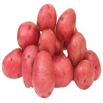 Potato red pakisthan
